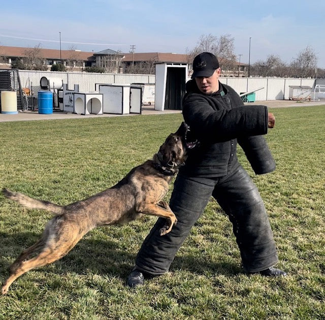 K-9 Training Day