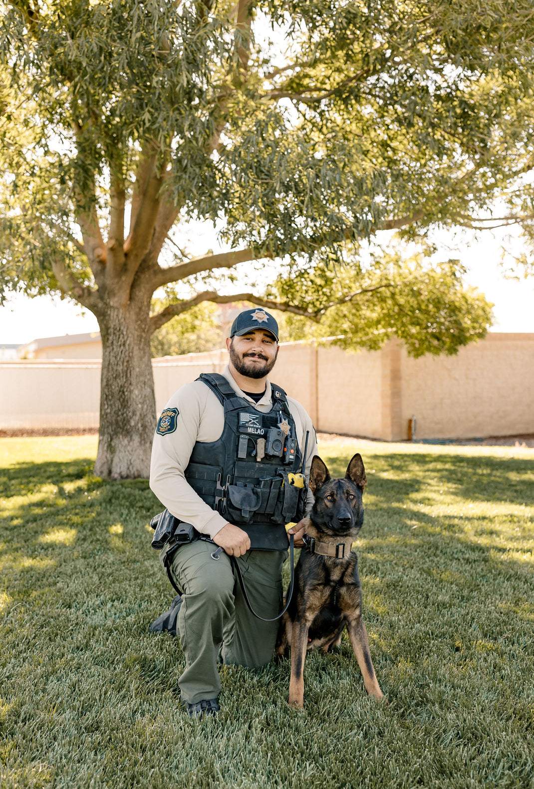 Handler Law ssk9association